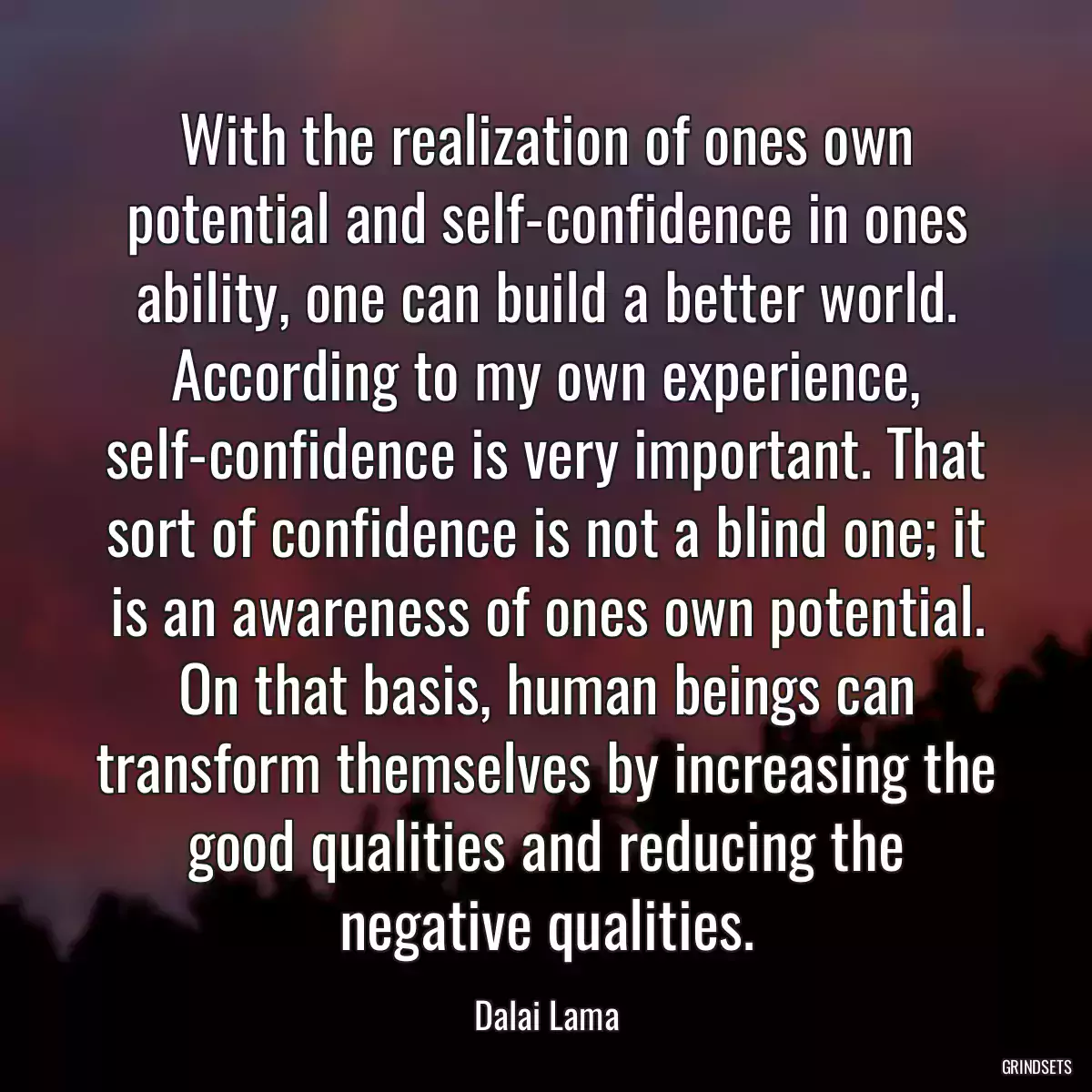 With the realization of ones own potential and self-confidence in ones ability, one can build a better world. According to my own experience, self-confidence is very important. That sort of confidence is not a blind one; it is an awareness of ones own potential. On that basis, human beings can transform themselves by increasing the good qualities and reducing the negative qualities.