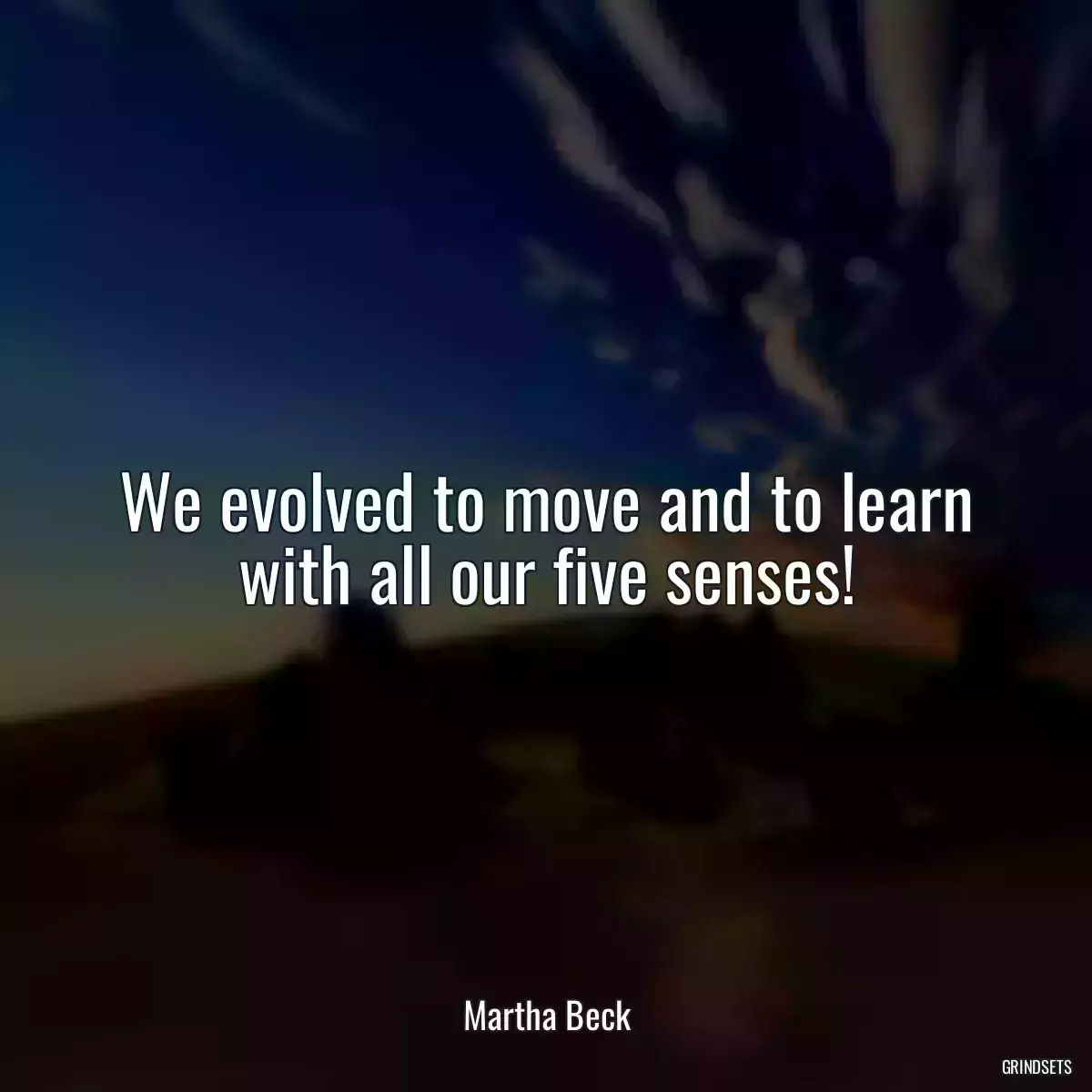 We evolved to move and to learn with all our five senses!