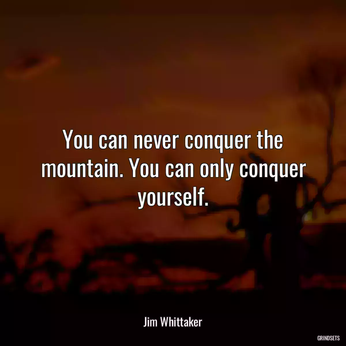 You can never conquer the mountain. You can only conquer yourself.