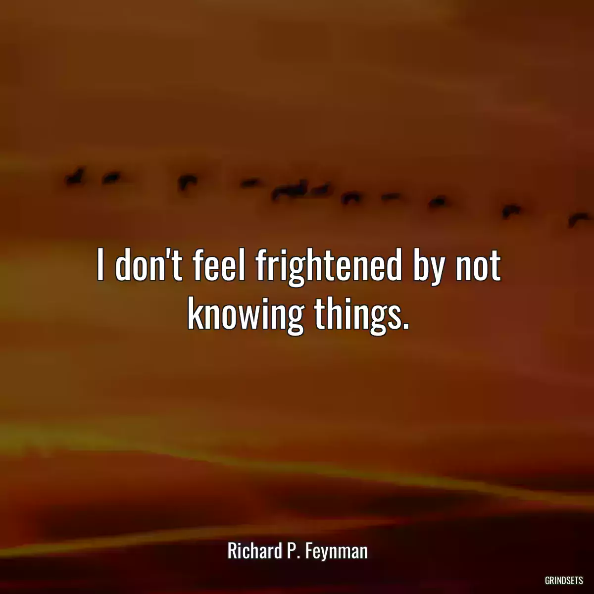 I don\'t feel frightened by not knowing things.