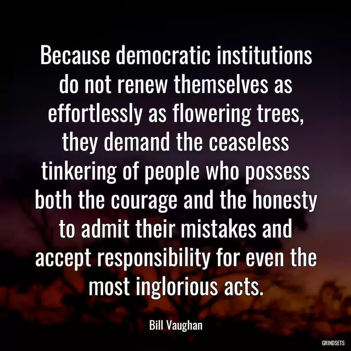 Because democratic institutions do not renew themselves as effortlessly as flowering trees, they demand the ceaseless tinkering of people who possess both the courage and the honesty to admit their mistakes and accept responsibility for even the most inglorious acts.