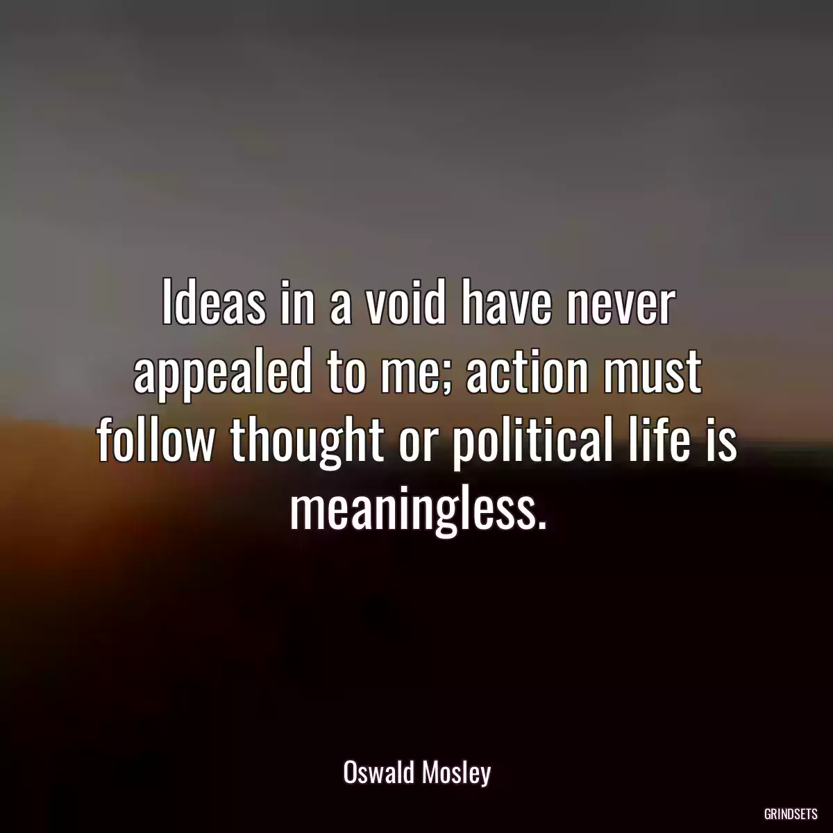 Ideas in a void have never appealed to me; action must follow thought or political life is meaningless.