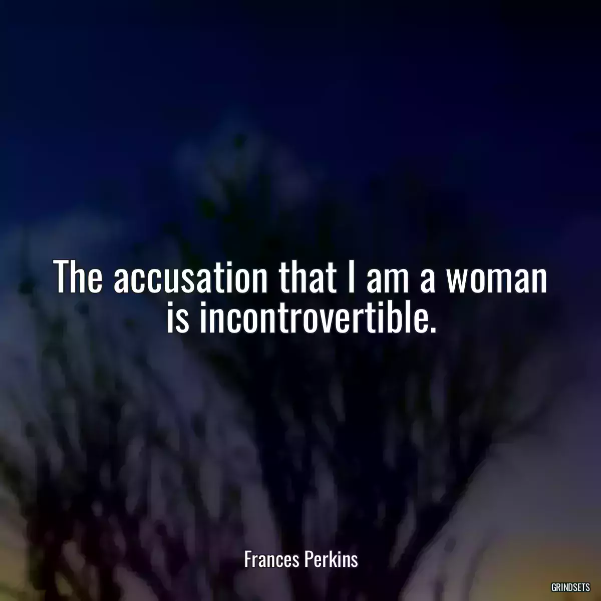 The accusation that I am a woman is incontrovertible.