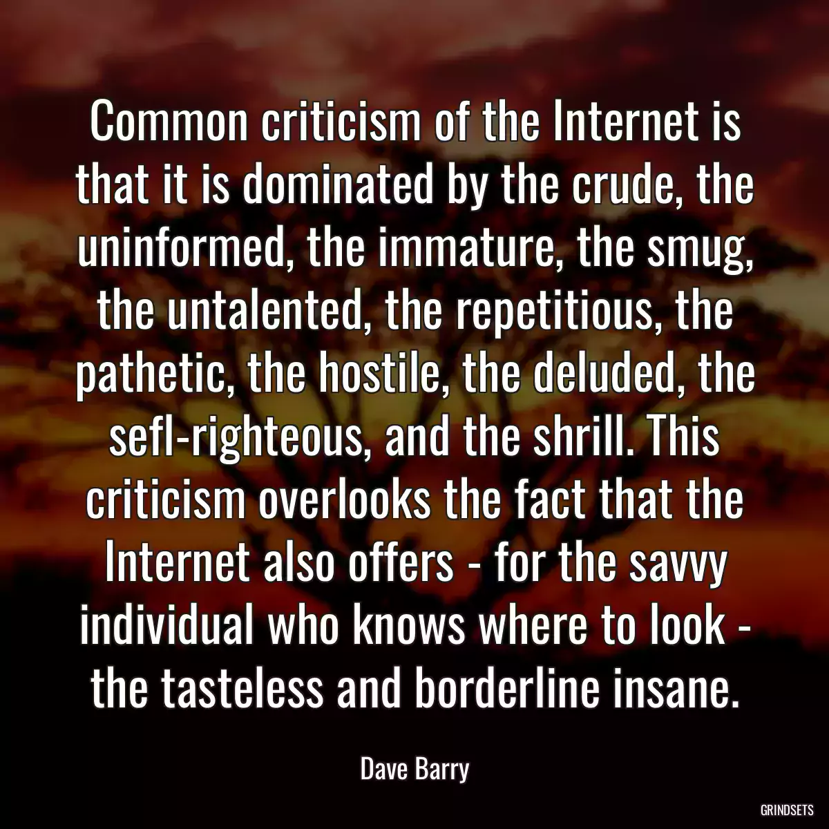 Common criticism of the Internet is that it is dominated by the crude, the uninformed, the immature, the smug, the untalented, the repetitious, the pathetic, the hostile, the deluded, the sefl-righteous, and the shrill. This criticism overlooks the fact that the Internet also offers - for the savvy individual who knows where to look - the tasteless and borderline insane.