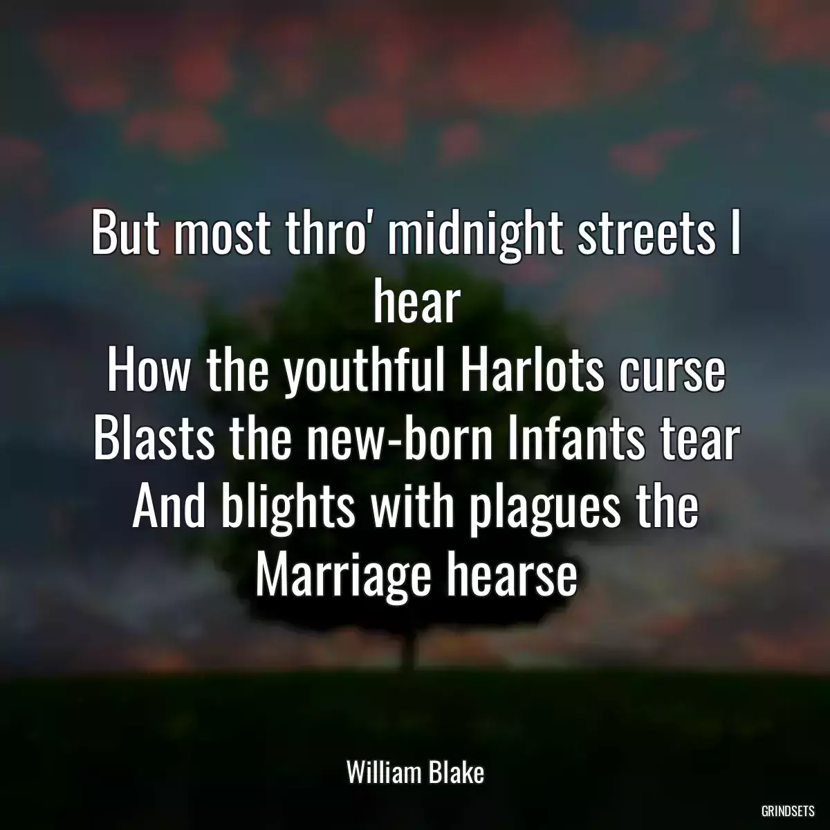 But most thro\' midnight streets I hear
How the youthful Harlots curse
Blasts the new-born Infants tear
And blights with plagues the Marriage hearse