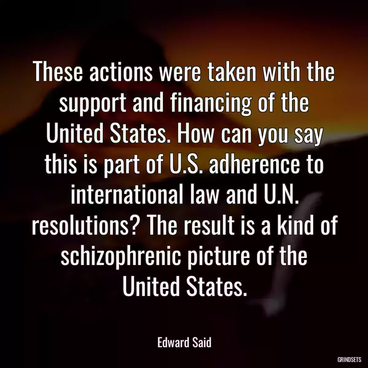 These actions were taken with the support and financing of the United States. How can you say this is part of U.S. adherence to international law and U.N. resolutions? The result is a kind of schizophrenic picture of the United States.