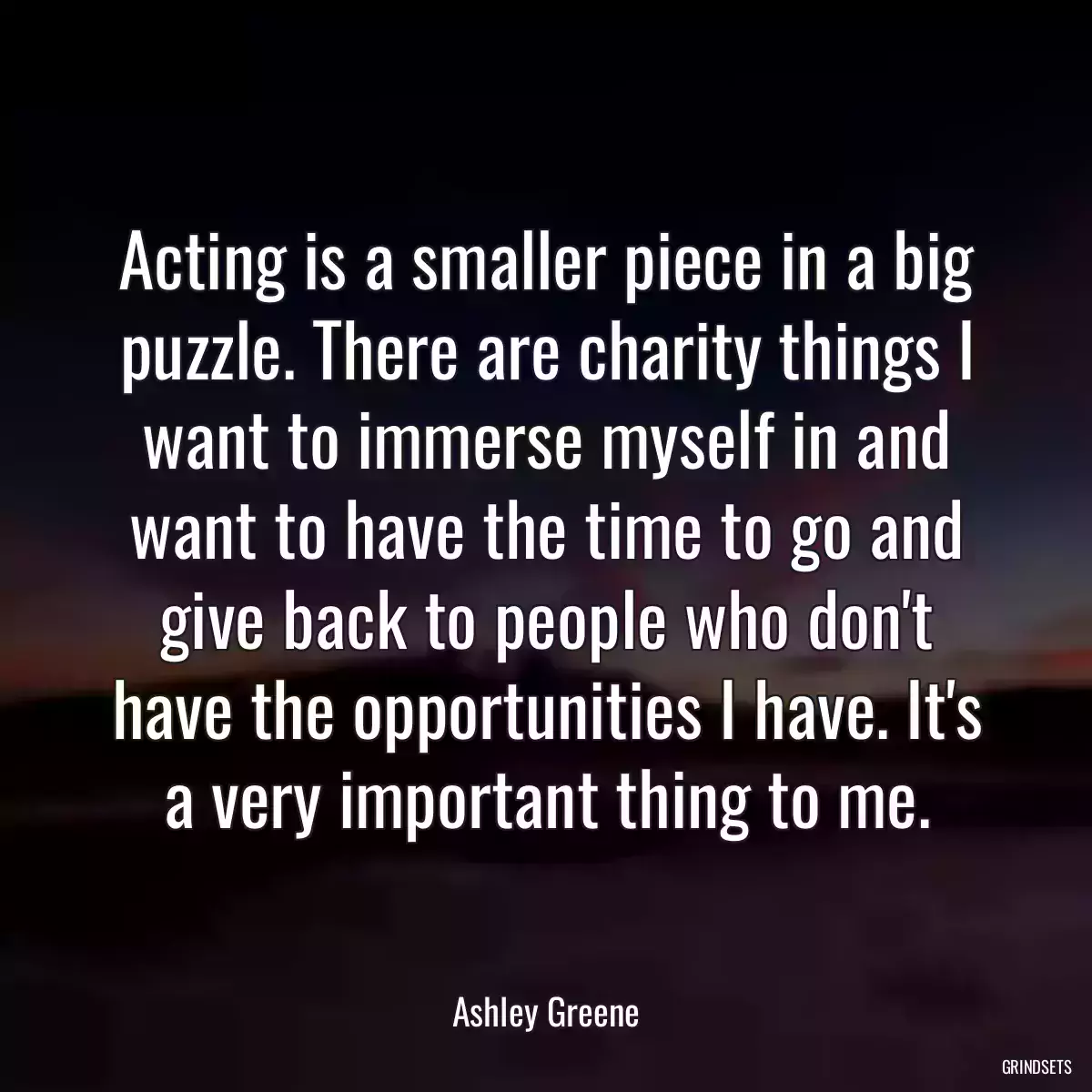 Acting is a smaller piece in a big puzzle. There are charity things I want to immerse myself in and want to have the time to go and give back to people who don\'t have the opportunities I have. It\'s a very important thing to me.