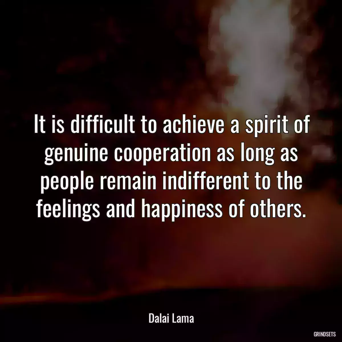It is difficult to achieve a spirit of genuine cooperation as long as people remain indifferent to the feelings and happiness of others.