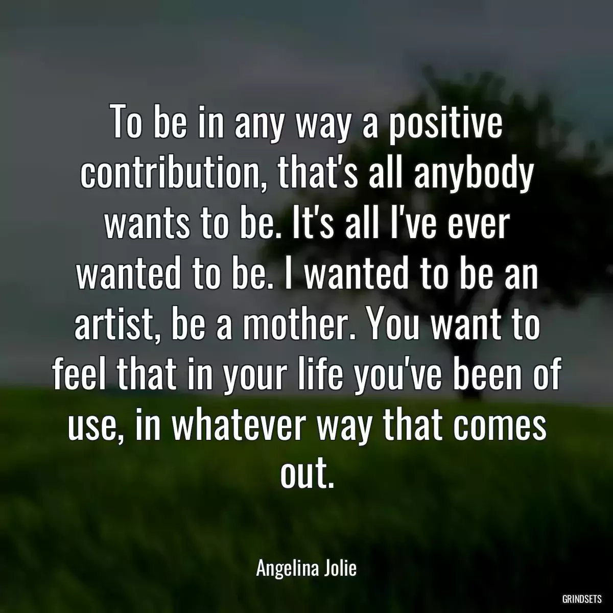 To be in any way a positive contribution, that\'s all anybody wants to be. It\'s all I\'ve ever wanted to be. I wanted to be an artist, be a mother. You want to feel that in your life you\'ve been of use, in whatever way that comes out.