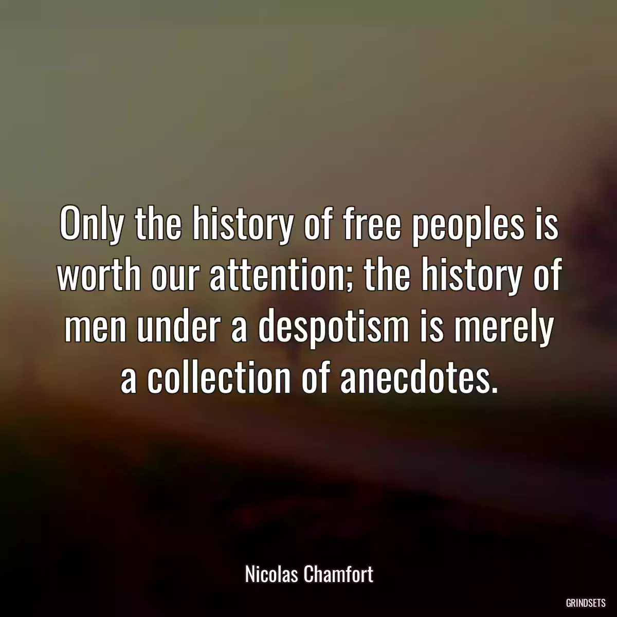 Only the history of free peoples is worth our attention; the history of men under a despotism is merely a collection of anecdotes.