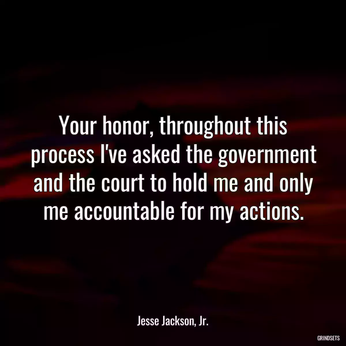 Your honor, throughout this process I\'ve asked the government and the court to hold me and only me accountable for my actions.