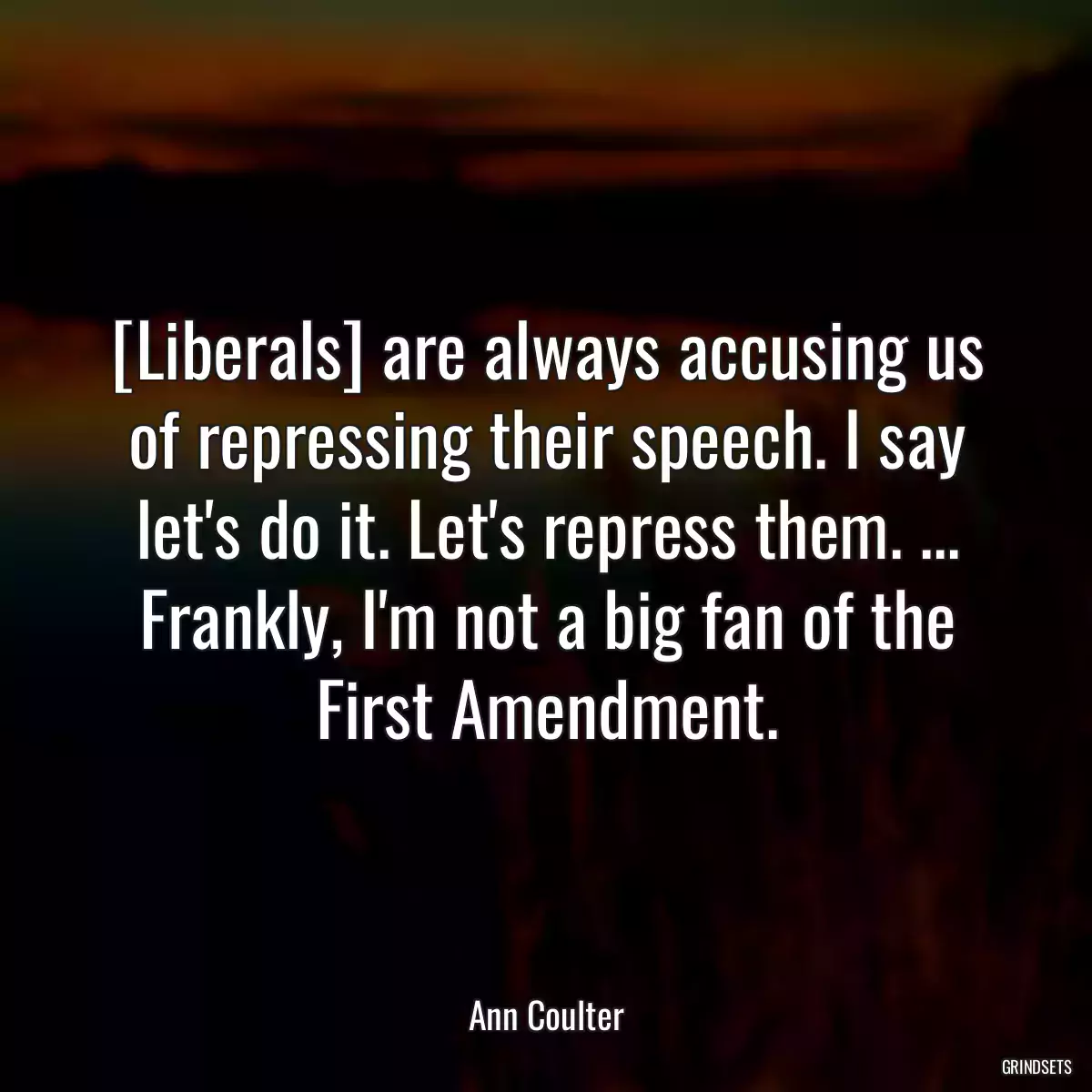 [Liberals] are always accusing us of repressing their speech. I say let\'s do it. Let\'s repress them. ... Frankly, I\'m not a big fan of the First Amendment.