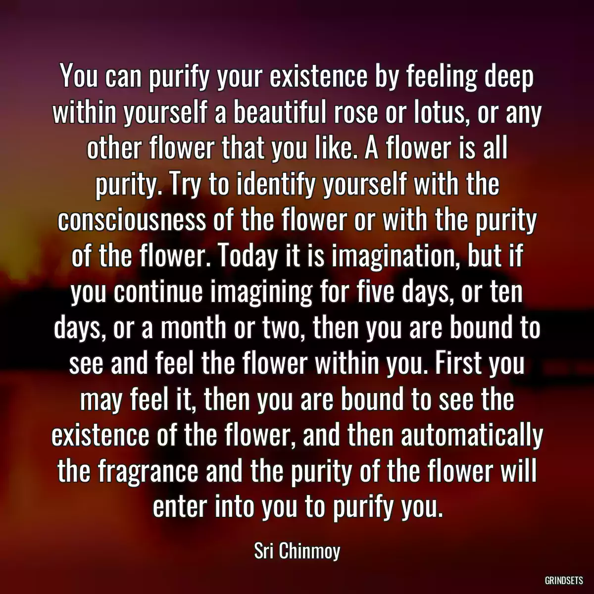 You can purify your existence by feeling deep within yourself a beautiful rose or lotus, or any other flower that you like. A flower is all purity. Try to identify yourself with the consciousness of the flower or with the purity of the flower. Today it is imagination, but if you continue imagining for five days, or ten days, or a month or two, then you are bound to see and feel the flower within you. First you may feel it, then you are bound to see the existence of the flower, and then automatically the fragrance and the purity of the flower will enter into you to purify you.