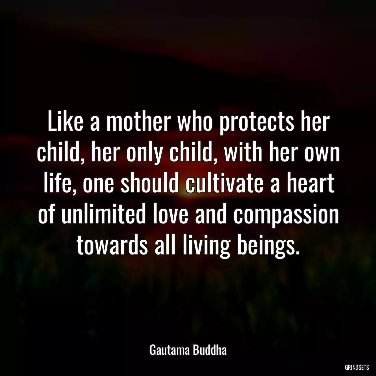 Like a mother who protects her child, her only child, with her own life, one should cultivate a heart of unlimited love and compassion towards all living beings.