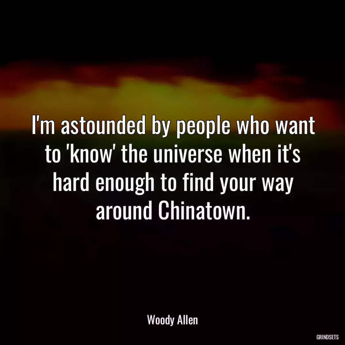 I\'m astounded by people who want to \'know\' the universe when it\'s hard enough to find your way around Chinatown.