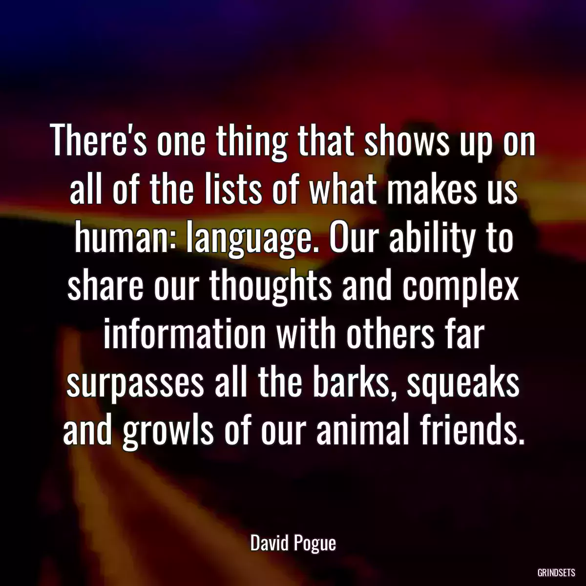 There\'s one thing that shows up on all of the lists of what makes us human: language. Our ability to share our thoughts and complex information with others far surpasses all the barks, squeaks and growls of our animal friends.