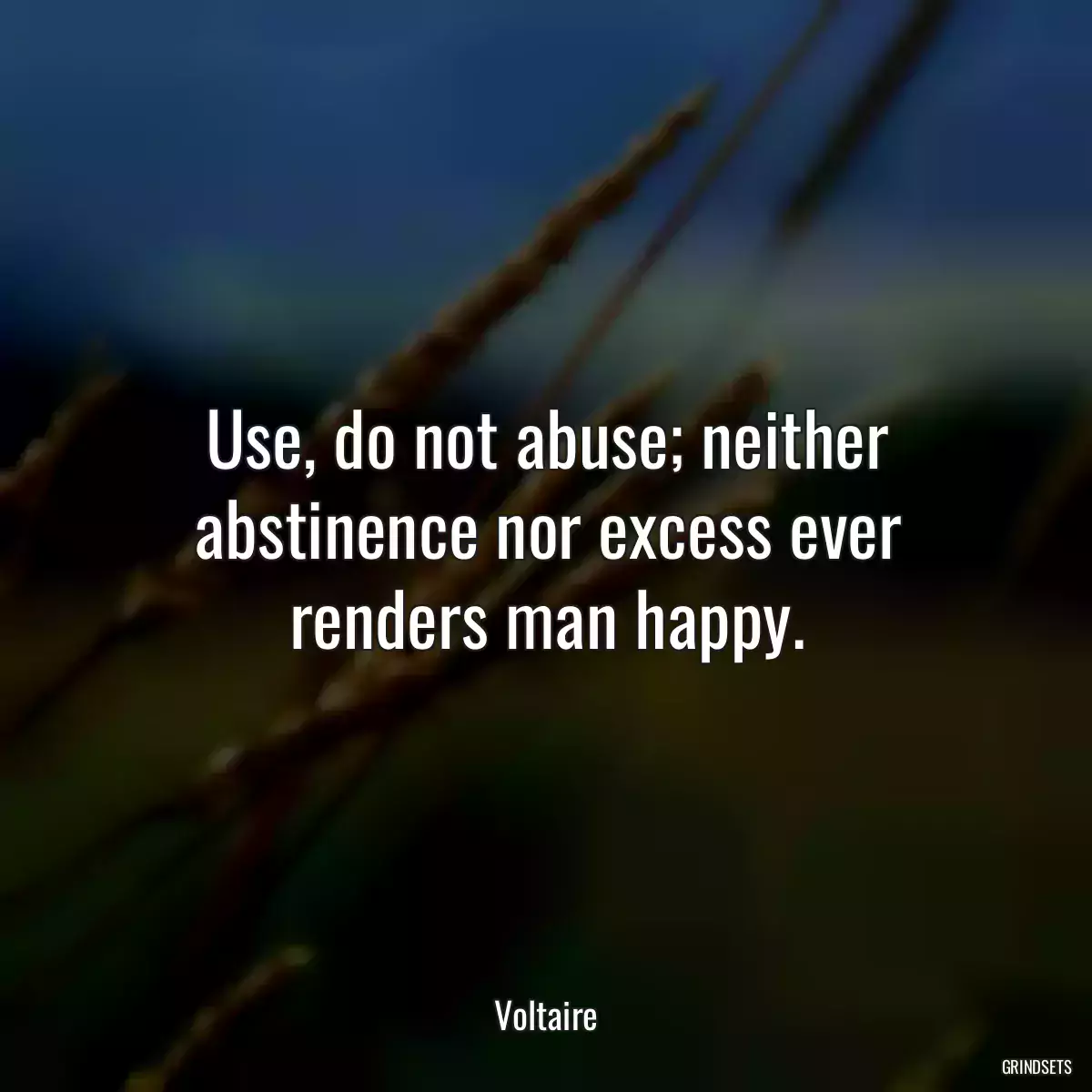 Use, do not abuse; neither abstinence nor excess ever renders man happy.