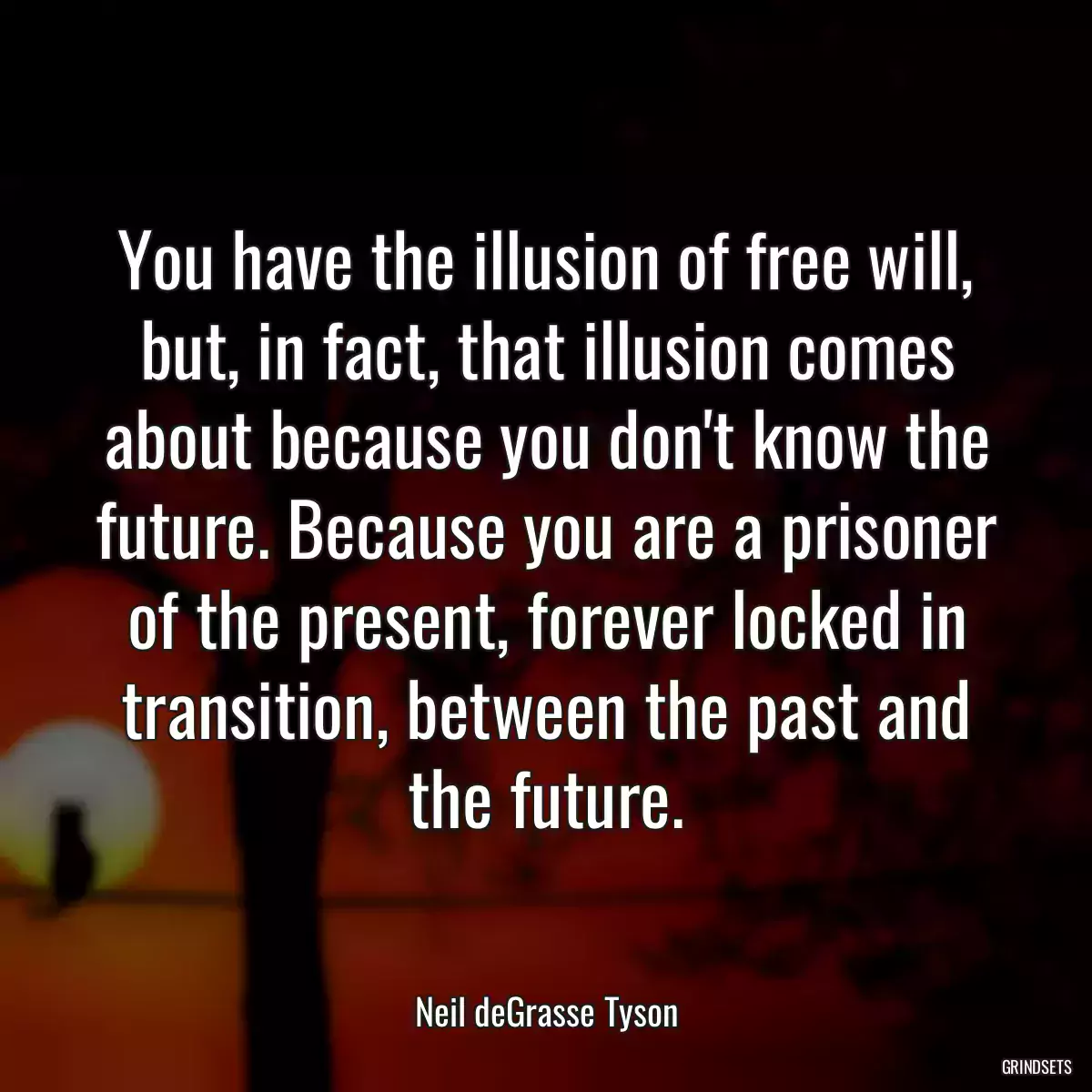 You have the illusion of free will, but, in fact, that illusion comes about because you don\'t know the future. Because you are a prisoner of the present, forever locked in transition, between the past and the future.