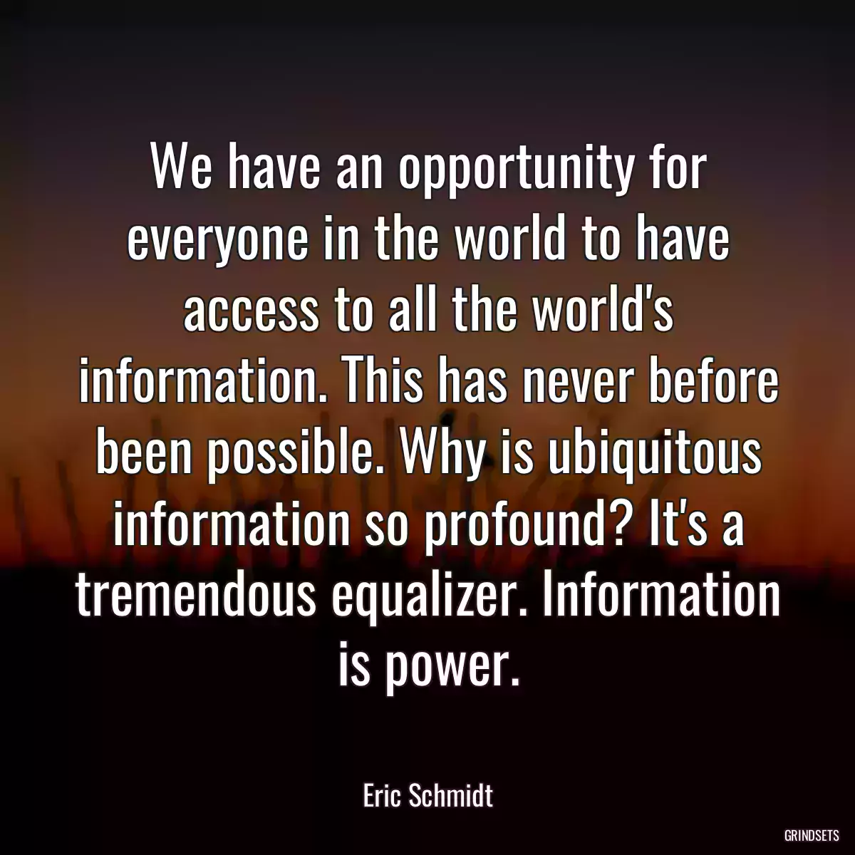 We have an opportunity for everyone in the world to have access to all the world\'s information. This has never before been possible. Why is ubiquitous information so profound? It\'s a tremendous equalizer. Information is power.