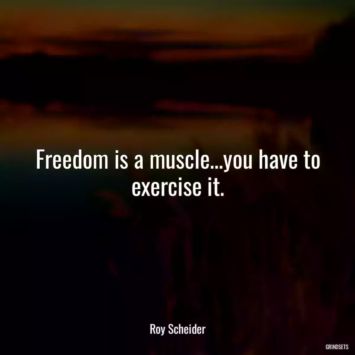 Freedom is a muscle...you have to exercise it.