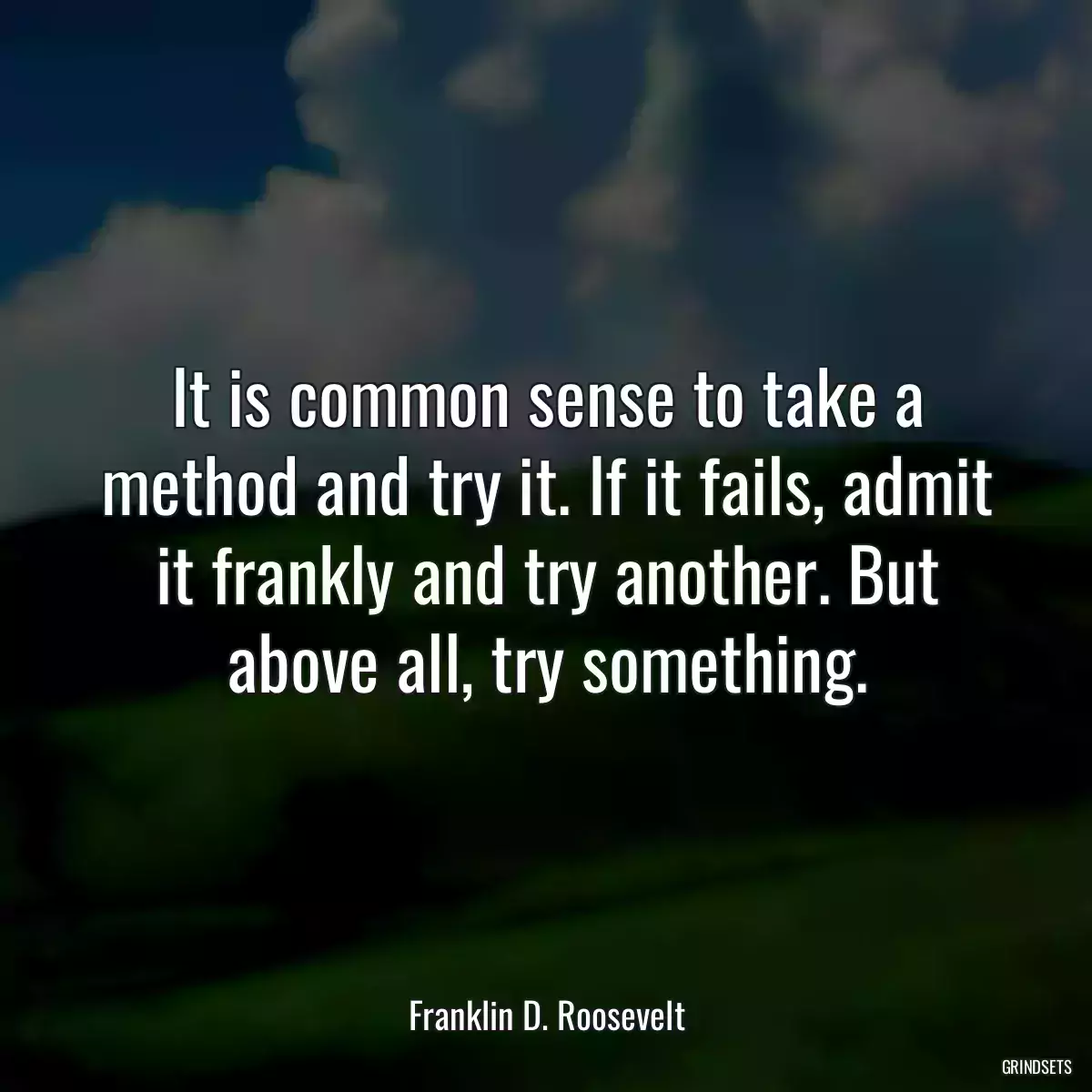 It is common sense to take a method and try it. If it fails, admit it frankly and try another. But above all, try something.
