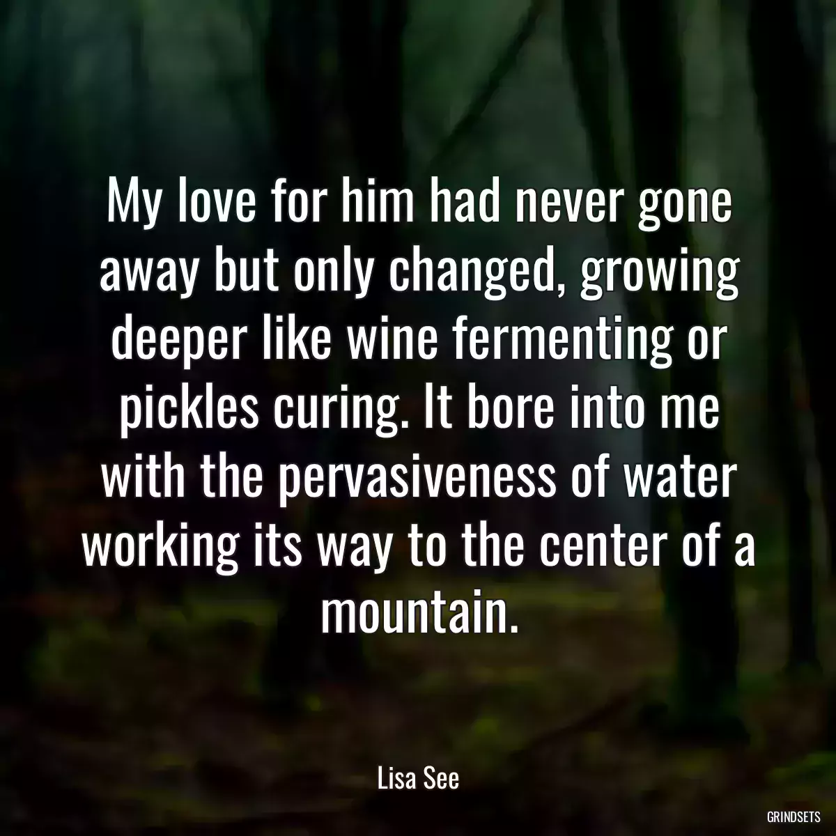 My love for him had never gone away but only changed, growing deeper like wine fermenting or pickles curing. It bore into me with the pervasiveness of water working its way to the center of a mountain.