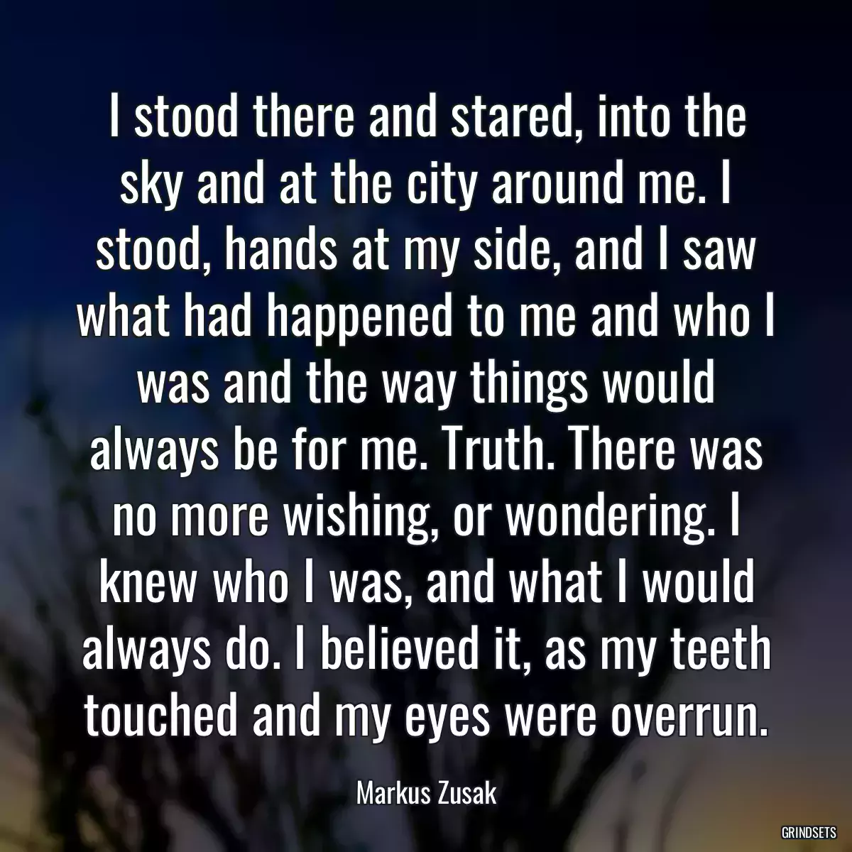 I stood there and stared, into the sky and at the city around me. I stood, hands at my side, and I saw what had happened to me and who I was and the way things would always be for me. Truth. There was no more wishing, or wondering. I knew who I was, and what I would always do. I believed it, as my teeth touched and my eyes were overrun.