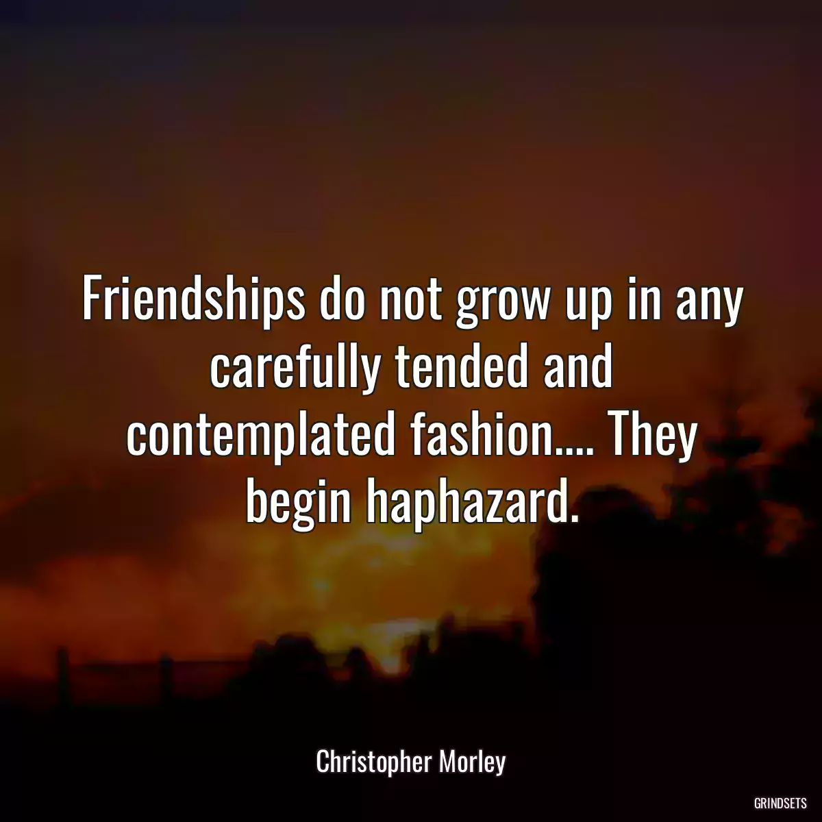 Friendships do not grow up in any carefully tended and contemplated fashion.... They begin haphazard.