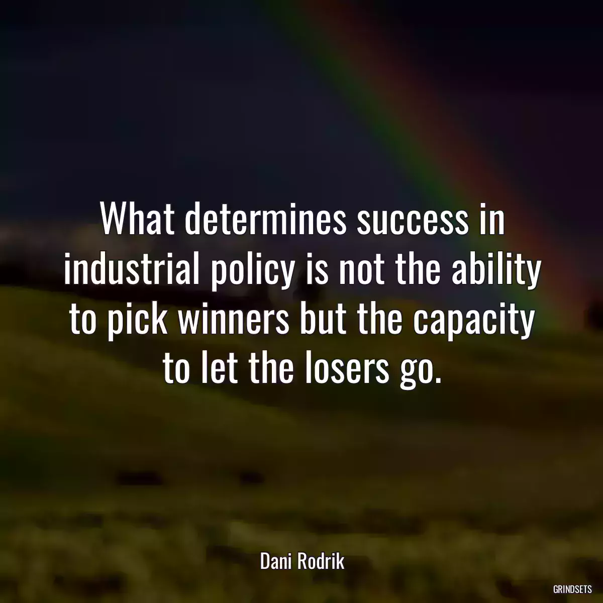 What determines success in industrial policy is not the ability to pick winners but the capacity to let the losers go.