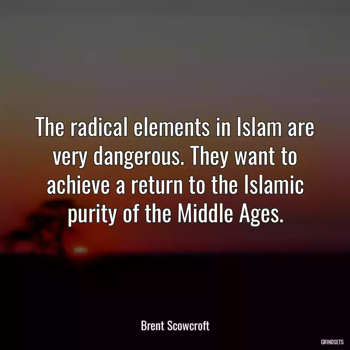 The radical elements in Islam are very dangerous. They want to achieve a return to the Islamic purity of the Middle Ages.