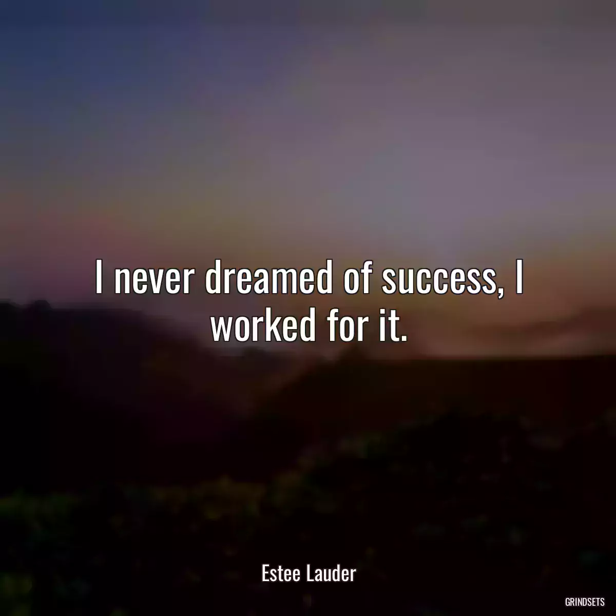 I never dreamed of success, I worked for it.