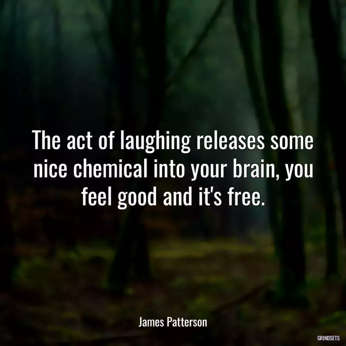 The act of laughing releases some nice chemical into your brain, you feel good and it\'s free.