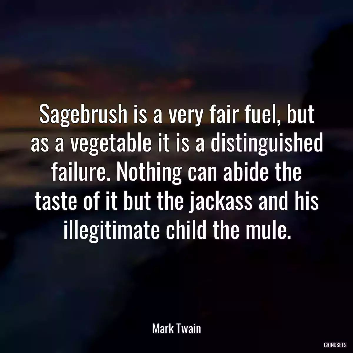 Sagebrush is a very fair fuel, but as a vegetable it is a distinguished failure. Nothing can abide the taste of it but the jackass and his illegitimate child the mule.