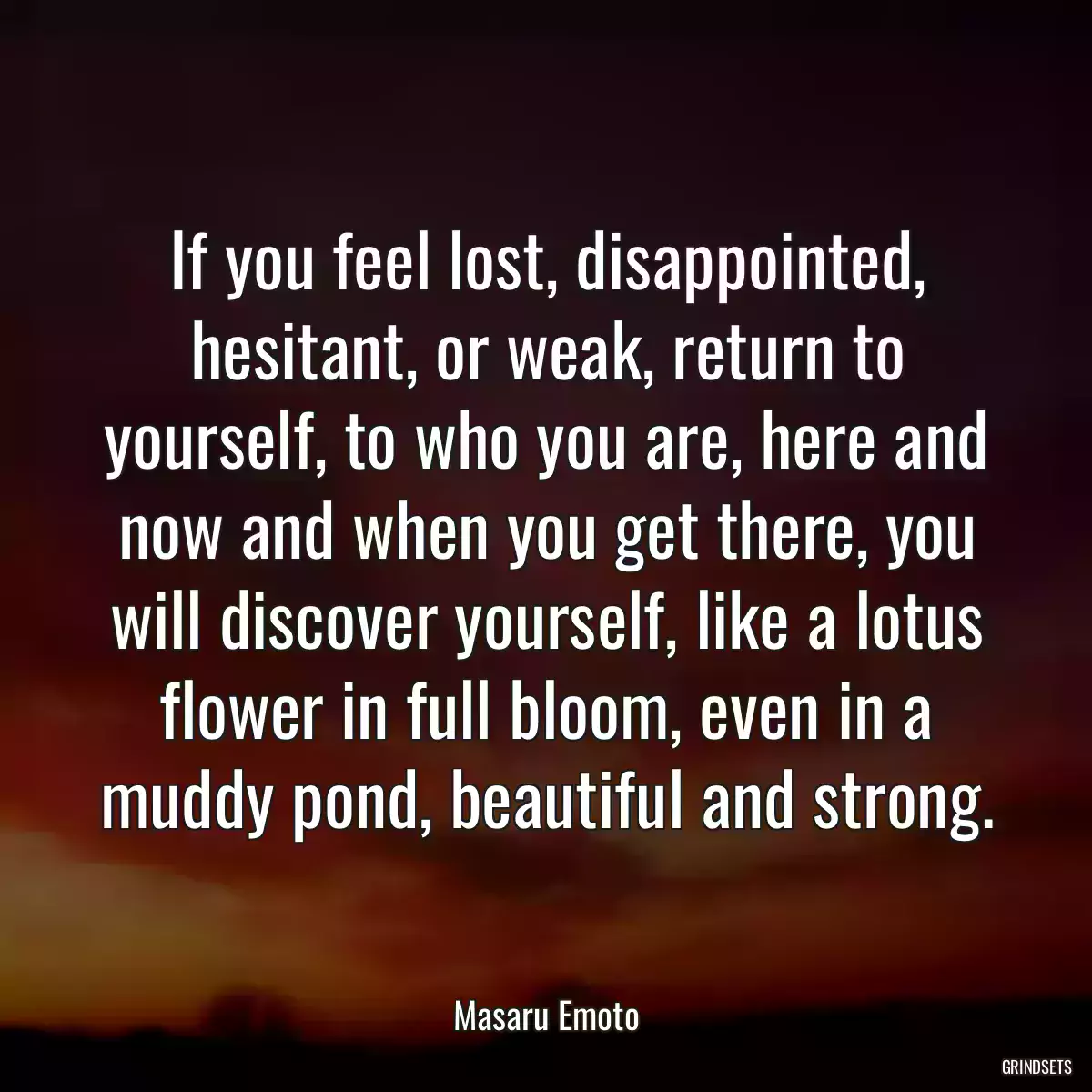 If you feel lost, disappointed, hesitant, or weak, return to yourself, to who you are, here and now and when you get there, you will discover yourself, like a lotus flower in full bloom, even in a muddy pond, beautiful and strong.