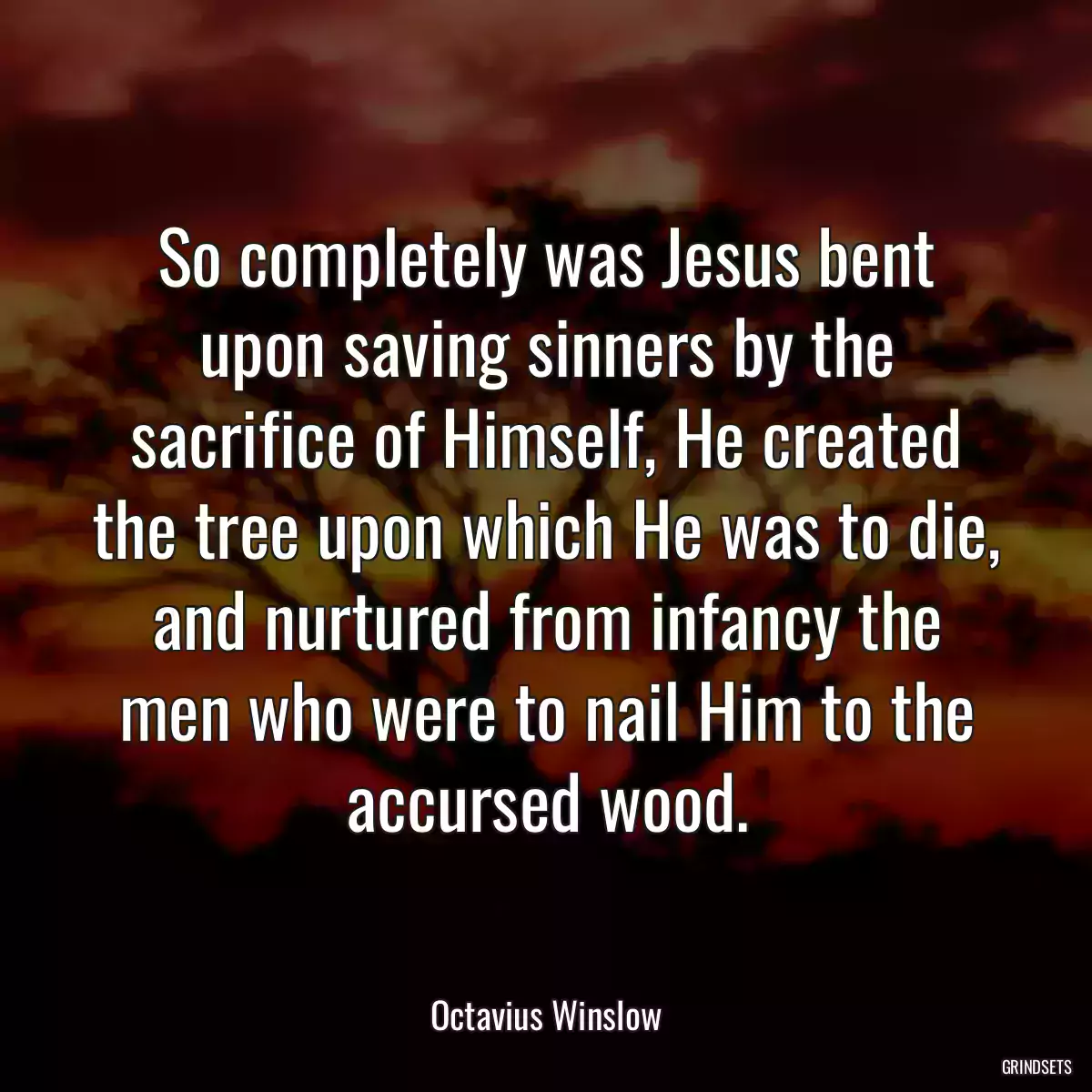 So completely was Jesus bent upon saving sinners by the sacrifice of Himself, He created the tree upon which He was to die, and nurtured from infancy the men who were to nail Him to the accursed wood.