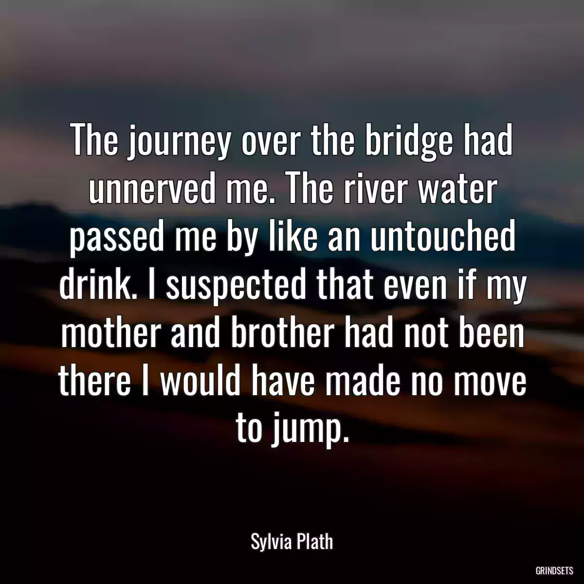 The journey over the bridge had unnerved me. The river water passed me by like an untouched drink. I suspected that even if my mother and brother had not been there I would have made no move to jump.