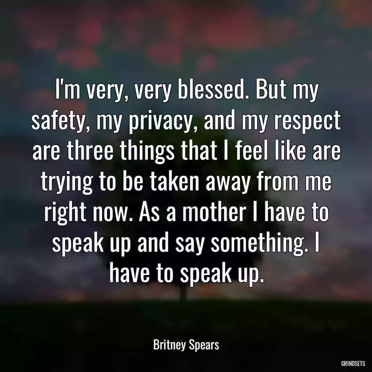 I\'m very, very blessed. But my safety, my privacy, and my respect are three things that I feel like are trying to be taken away from me right now. As a mother I have to speak up and say something. I have to speak up.