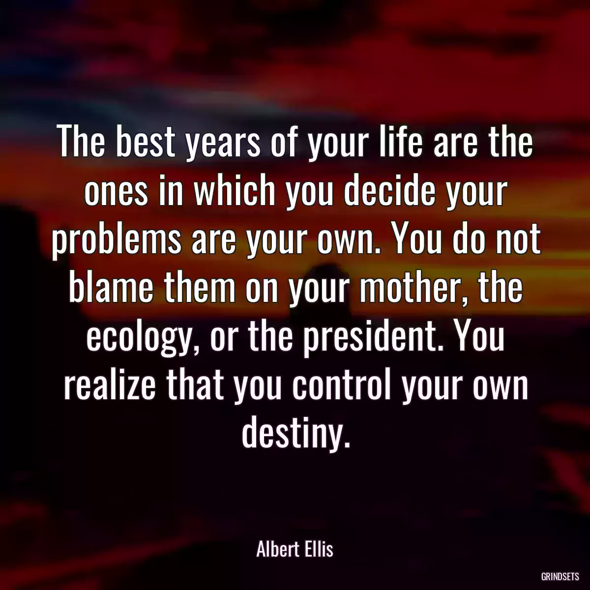 The best years of your life are the ones in which you decide your problems are your own. You do not blame them on your mother, the ecology, or the president. You realize that you control your own destiny.