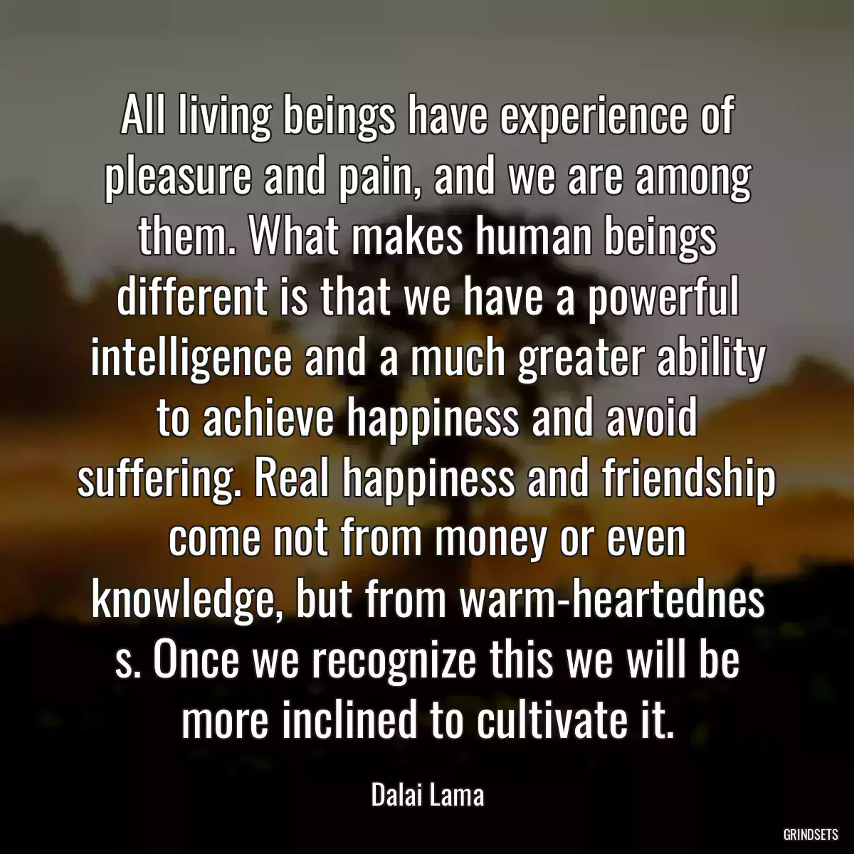 All living beings have experience of pleasure and pain, and we are among them. What makes human beings different is that we have a powerful intelligence and a much greater ability to achieve happiness and avoid suffering. Real happiness and friendship come not from money or even knowledge, but from warm-heartednes s. Once we recognize this we will be more inclined to cultivate it.