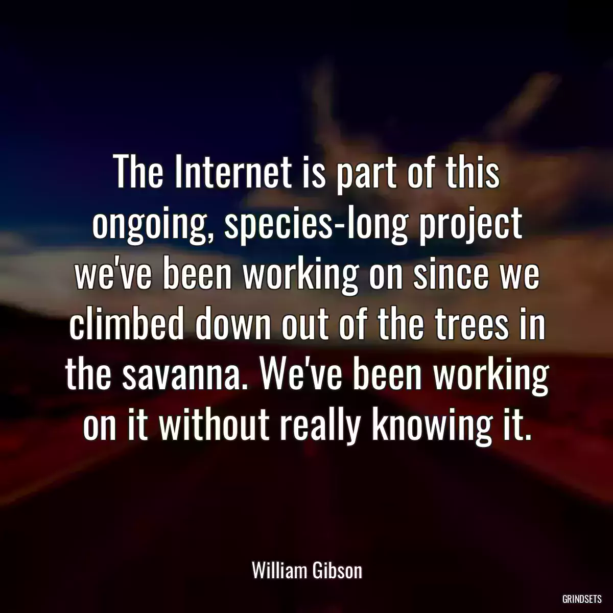 The Internet is part of this ongoing, species-long project we\'ve been working on since we climbed down out of the trees in the savanna. We\'ve been working on it without really knowing it.