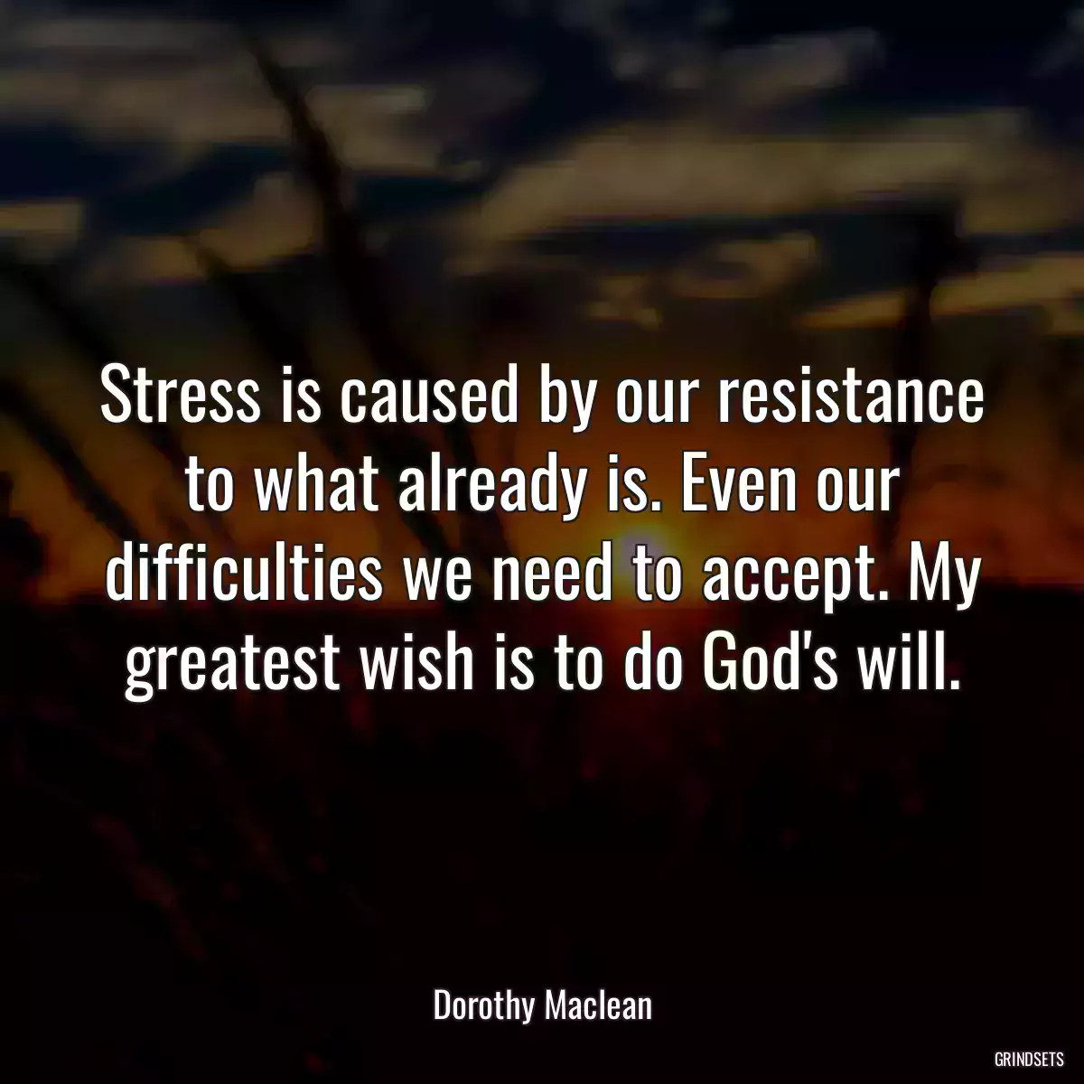 Stress is caused by our resistance to what already is. Even our difficulties we need to accept. My greatest wish is to do God\'s will.