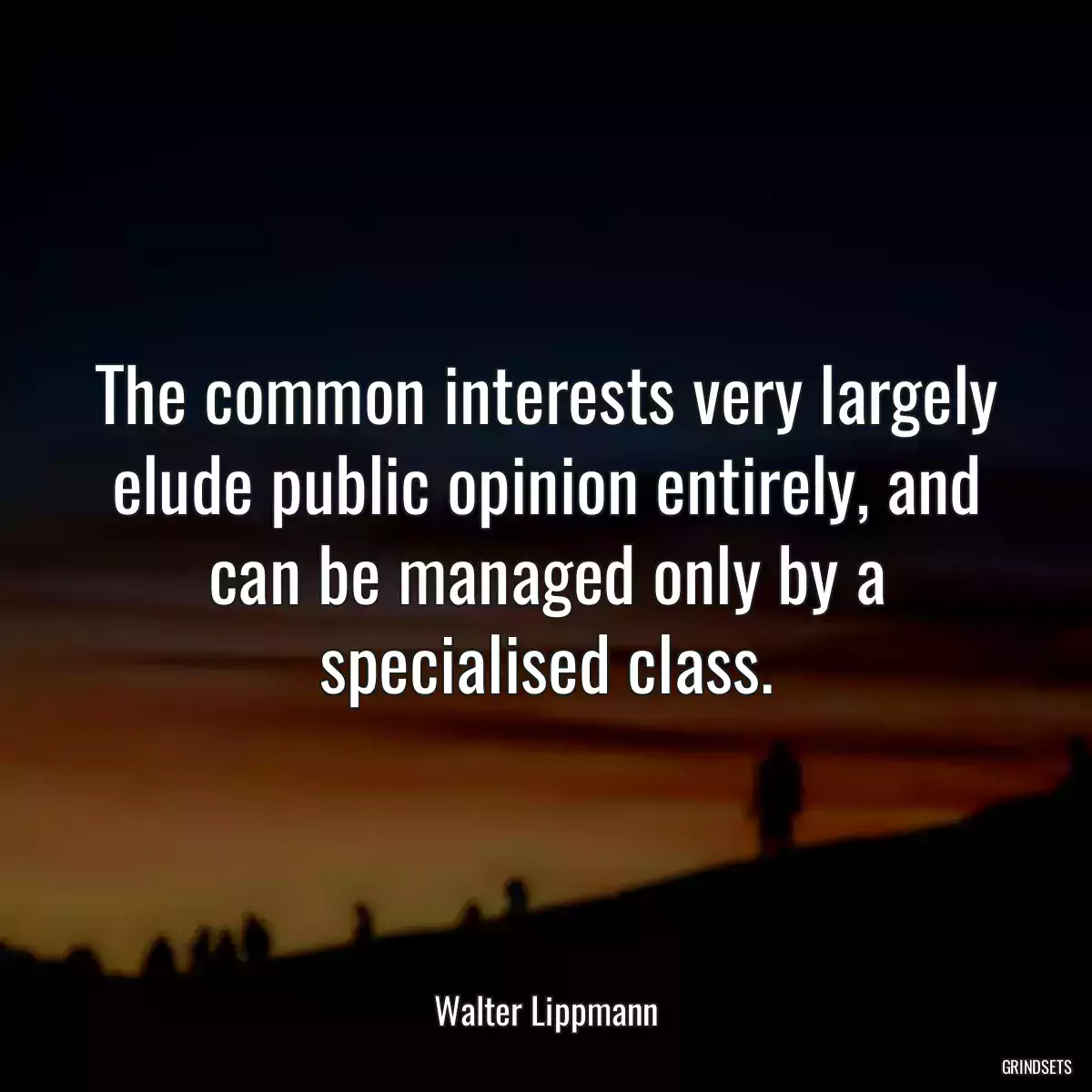 The common interests very largely elude public opinion entirely, and can be managed only by a specialised class.