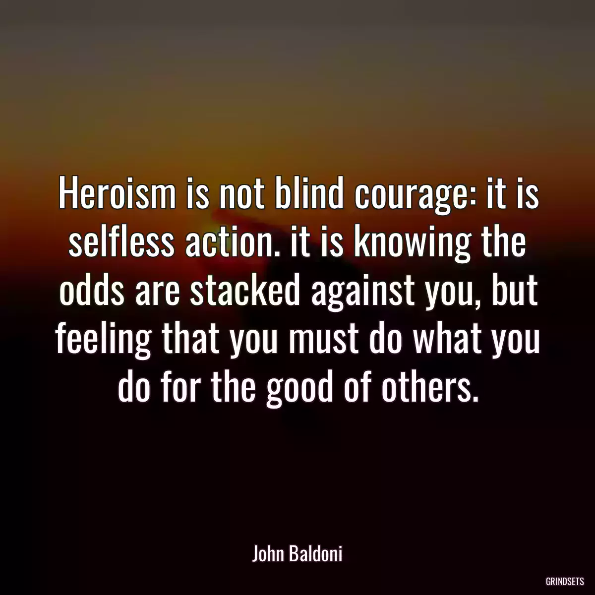 Heroism is not blind courage: it is selfless action. it is knowing the odds are stacked against you, but feeling that you must do what you do for the good of others.