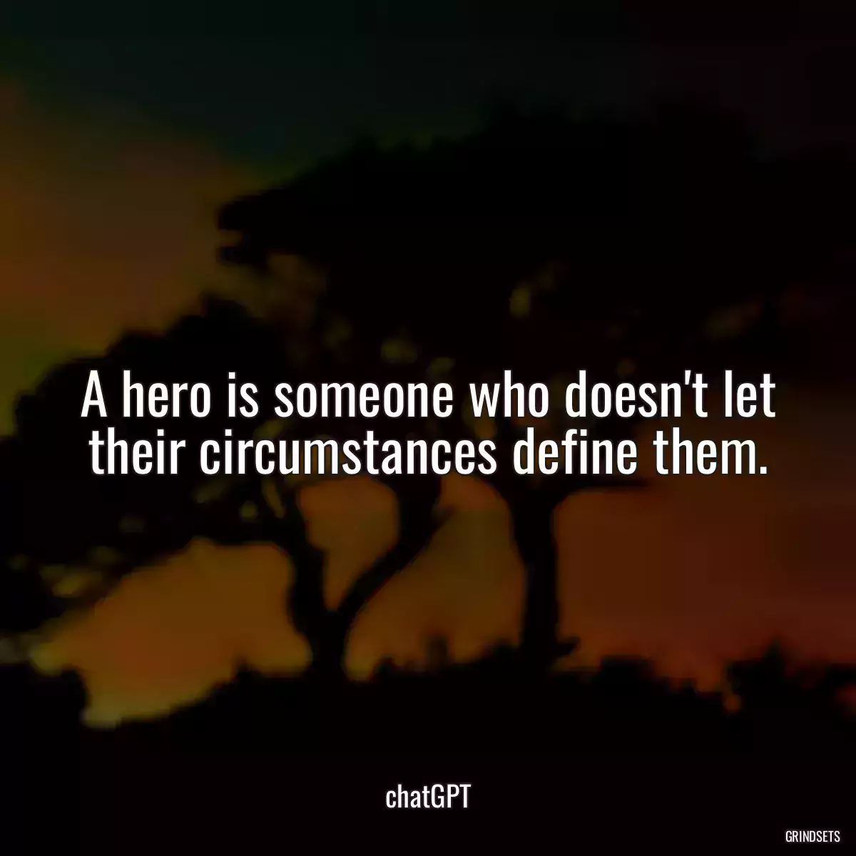 A hero is someone who doesn\'t let their circumstances define them.