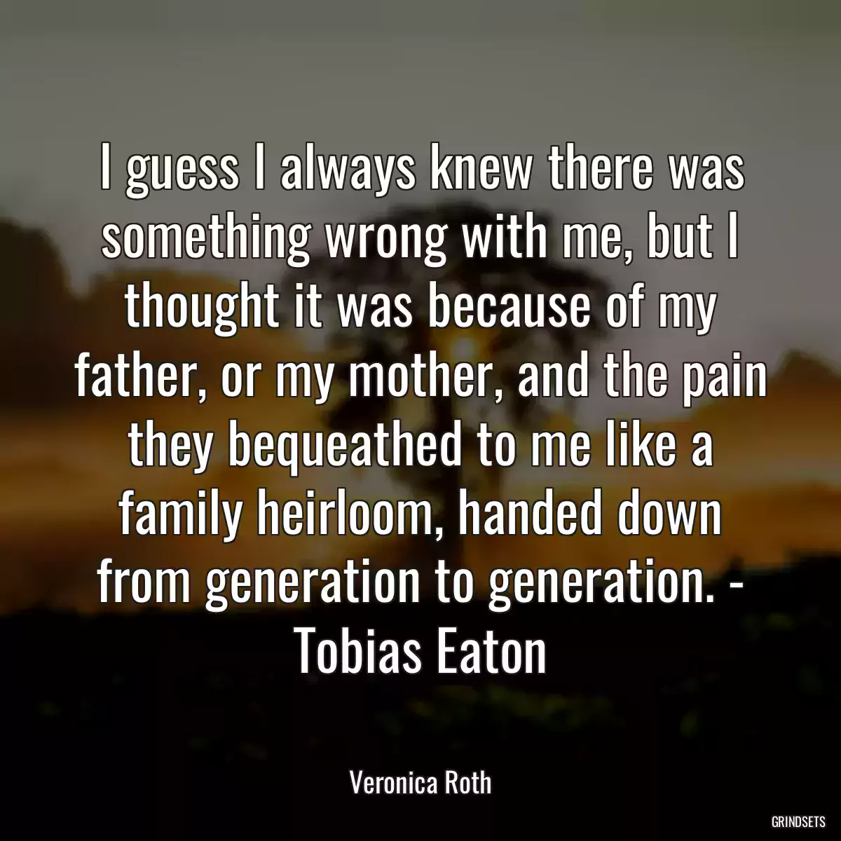 I guess I always knew there was something wrong with me, but I thought it was because of my father, or my mother, and the pain they bequeathed to me like a family heirloom, handed down from generation to generation. - Tobias Eaton