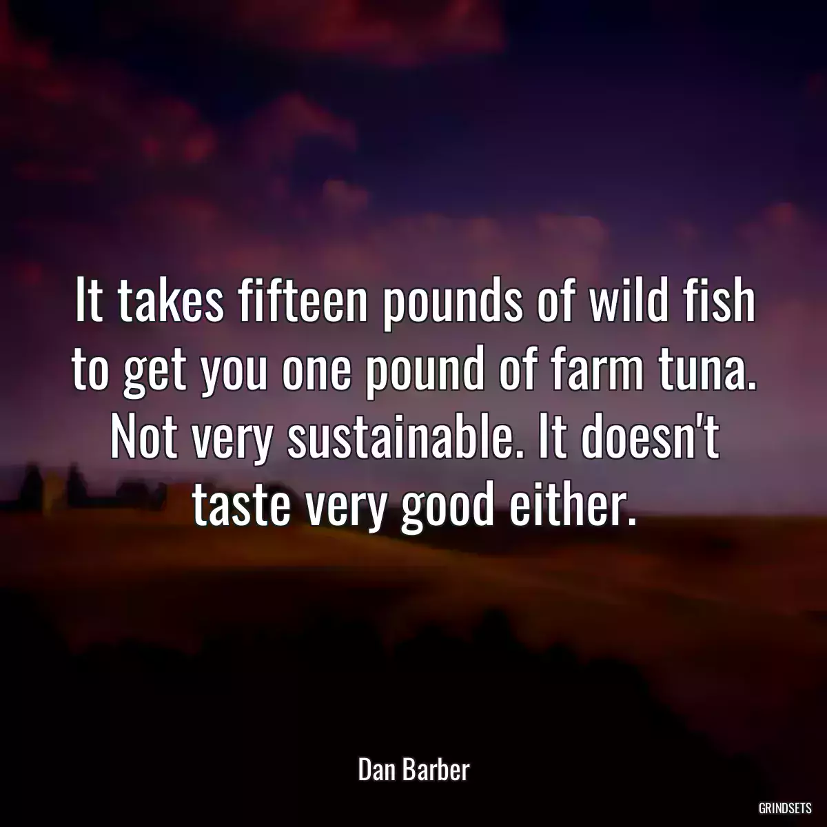 It takes fifteen pounds of wild fish to get you one pound of farm tuna. Not very sustainable. It doesn\'t taste very good either.