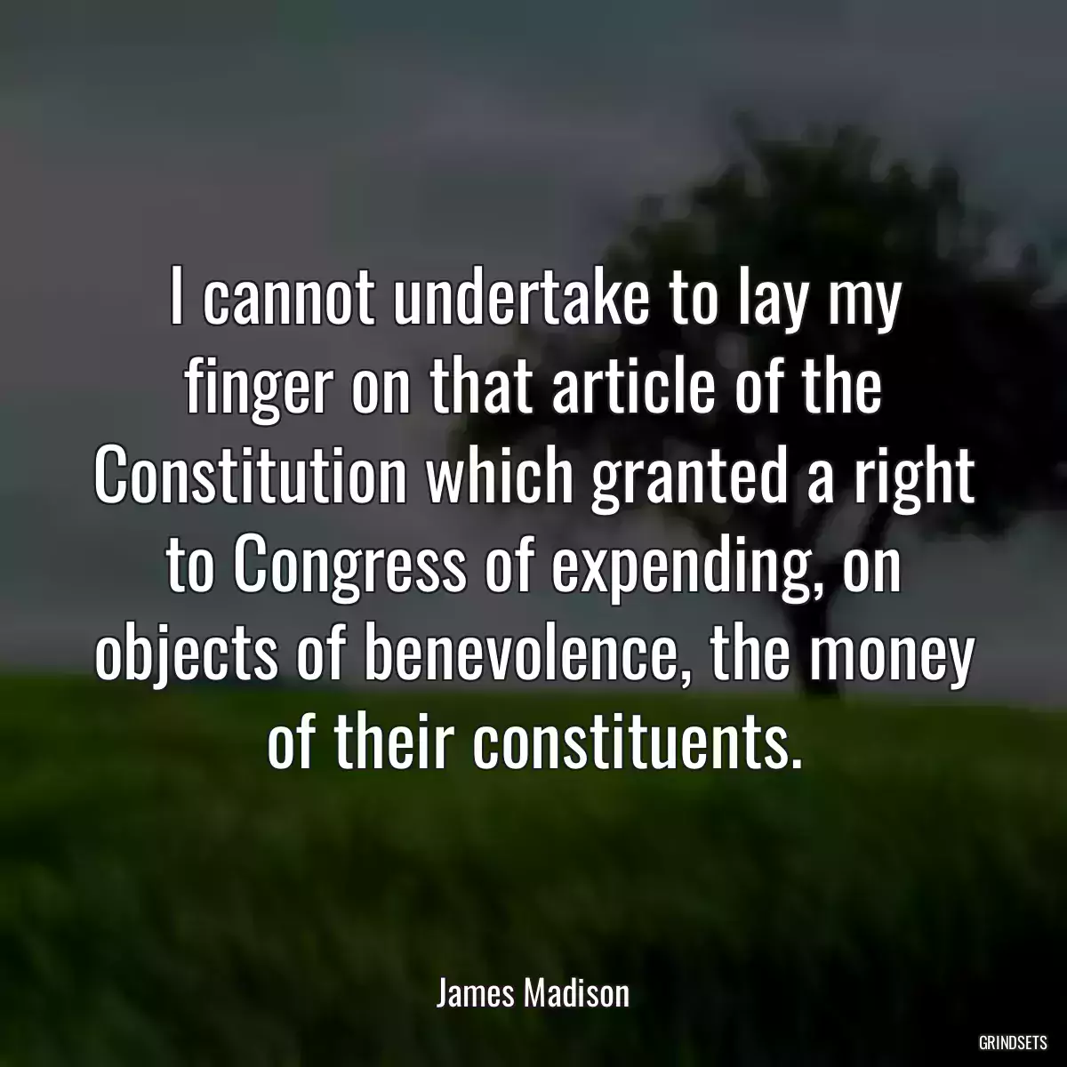 I cannot undertake to lay my finger on that article of the Constitution which granted a right to Congress of expending, on objects of benevolence, the money of their constituents.