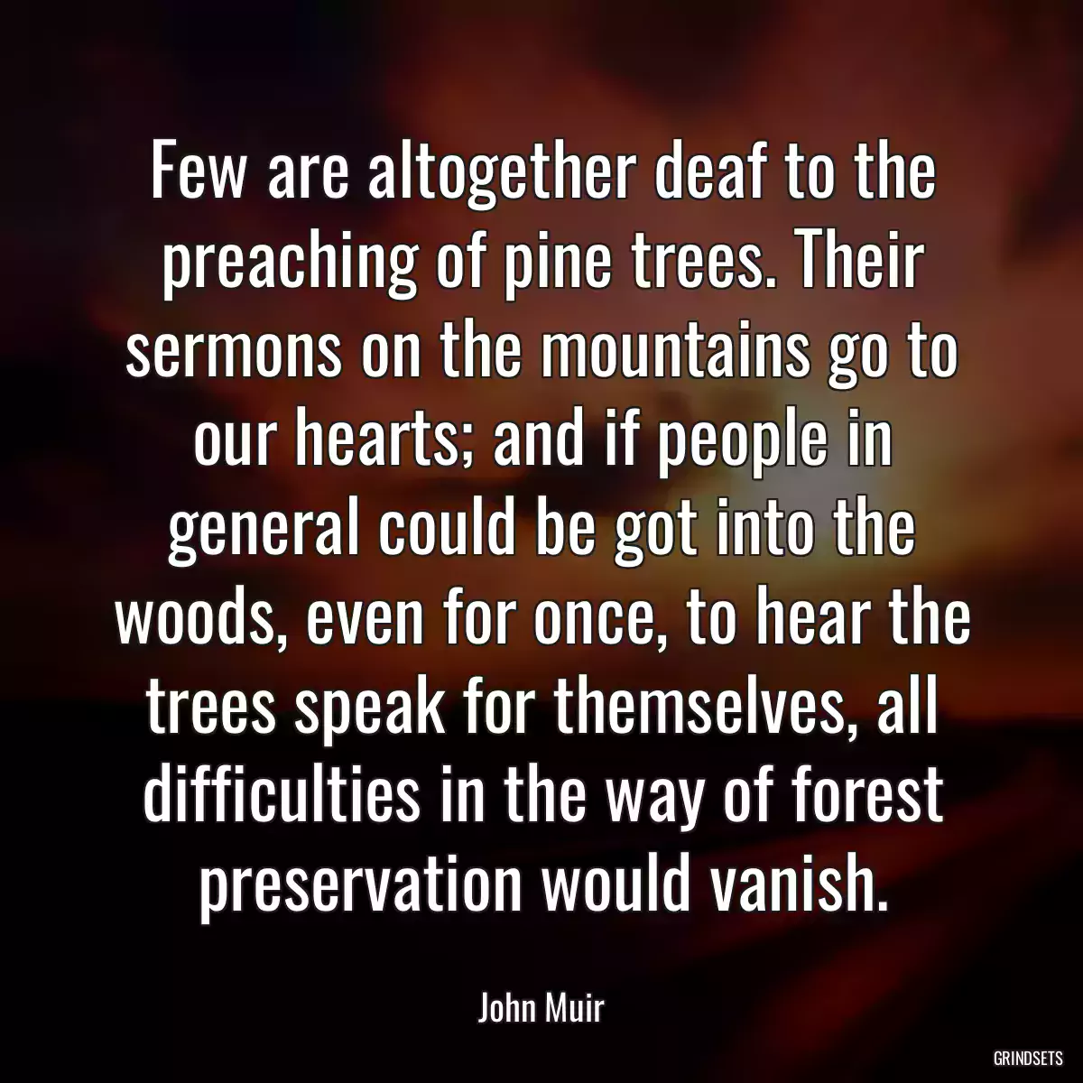 Few are altogether deaf to the preaching of pine trees. Their sermons on the mountains go to our hearts; and if people in general could be got into the woods, even for once, to hear the trees speak for themselves, all difficulties in the way of forest preservation would vanish.