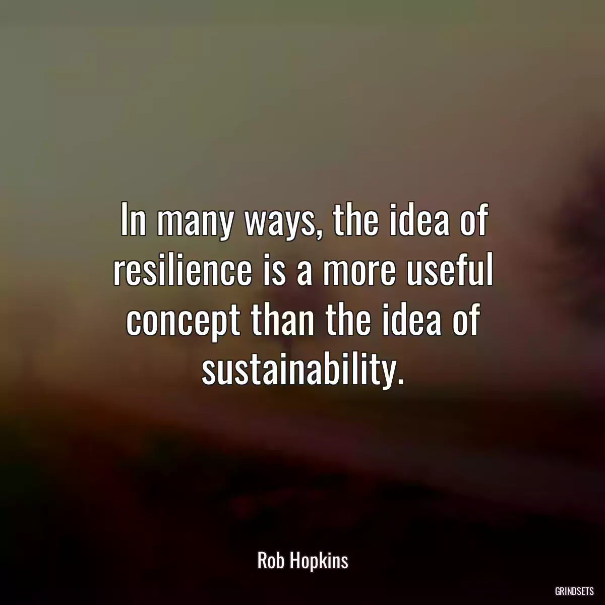 In many ways, the idea of resilience is a more useful concept than the idea of sustainability.