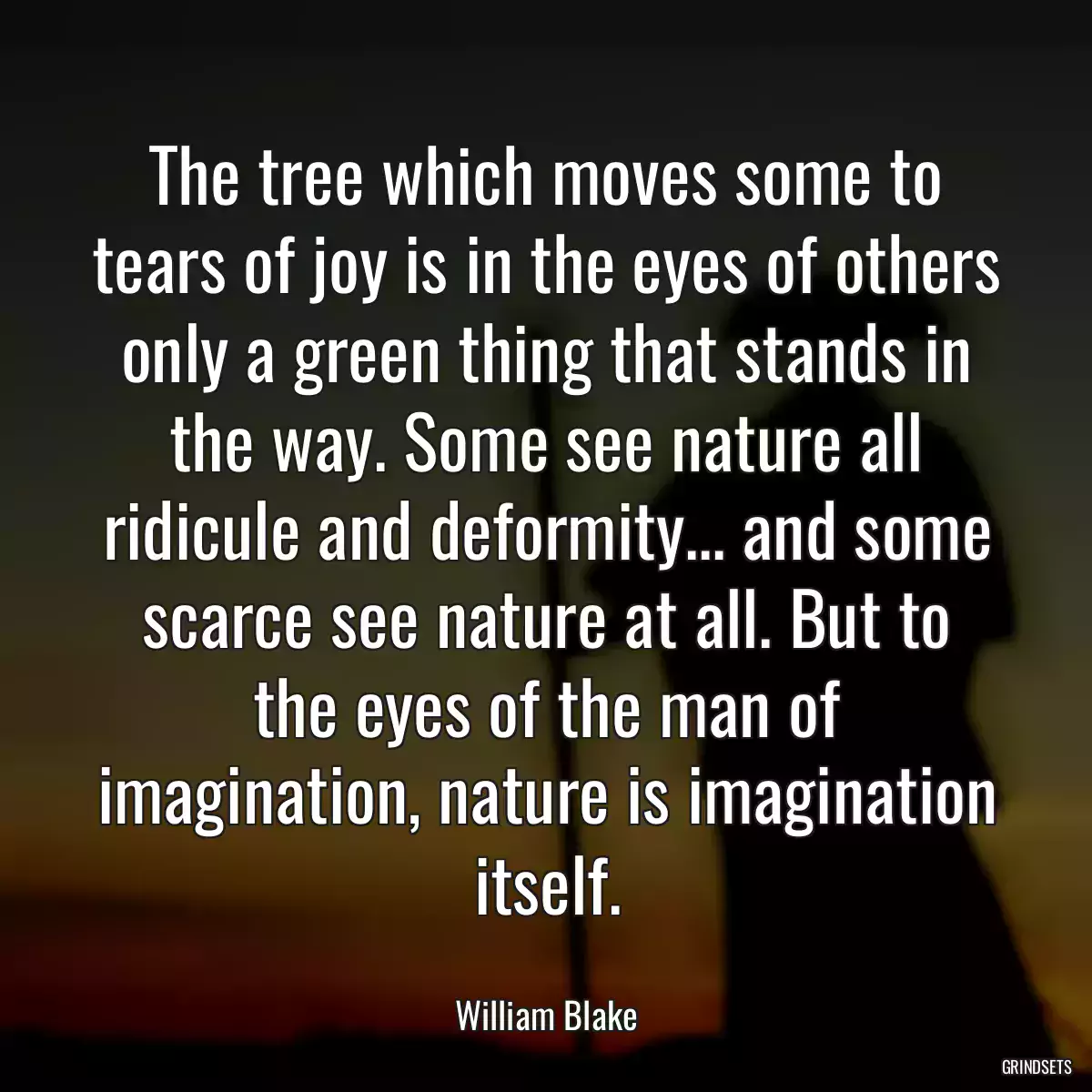 The tree which moves some to tears of joy is in the eyes of others only a green thing that stands in the way. Some see nature all ridicule and deformity... and some scarce see nature at all. But to the eyes of the man of imagination, nature is imagination itself.